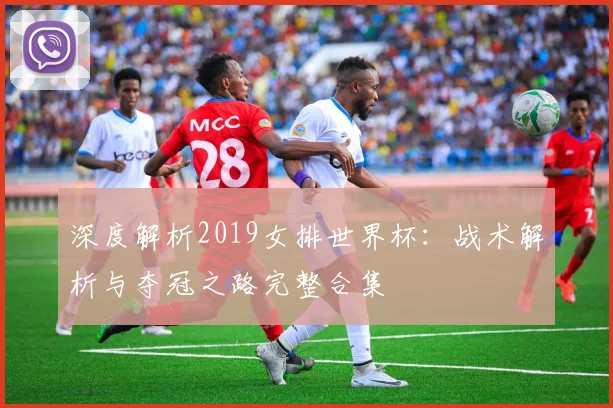 深度解析2019女排世界杯：战术解析与夺冠之路完整合集