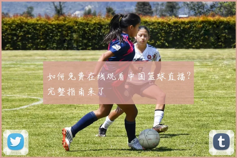 如何免费在线观看中国篮球直播？完整指南来了