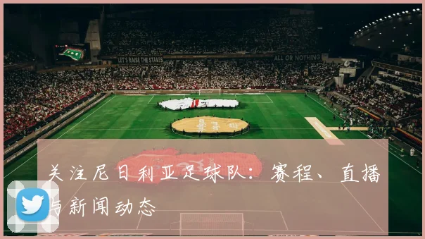 关注尼日利亚足球队：赛程、直播与新闻动态