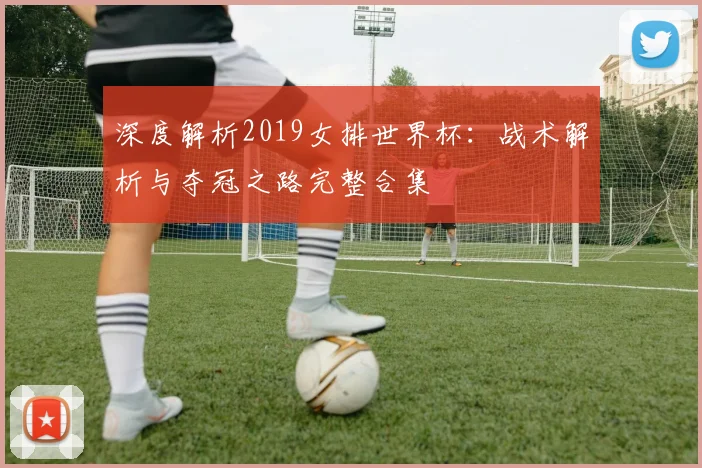 深度解析2019女排世界杯：战术解析与夺冠之路完整合集