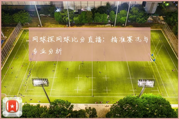 网球探网球比分直播：精准赛况与专业分析