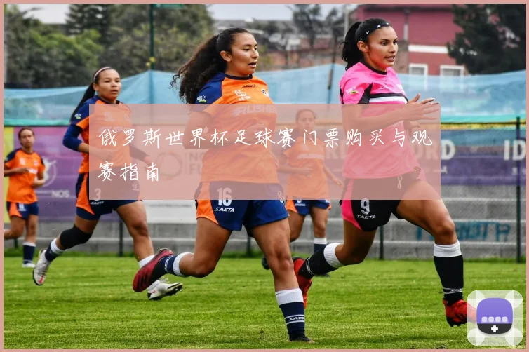 俄罗斯世界杯足球赛门票购买与观赛指南