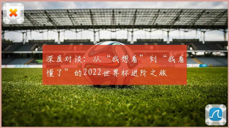 深度对谈:从“我想看”到“我看懂了”的2022世界杯进阶之旅