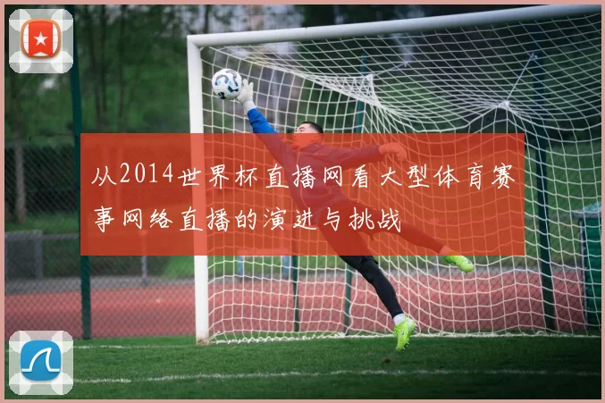 从2014世界杯直播网看大型体育赛事网络直播的演进与挑战