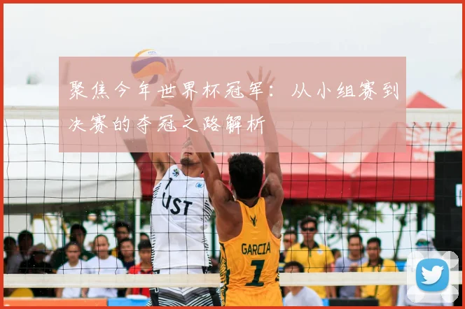 聚焦今年世界杯冠军:从小组赛到决赛的夺冠之路解析