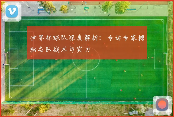 世界杯球队深度解析:专访专家揭秘各队战术与实力