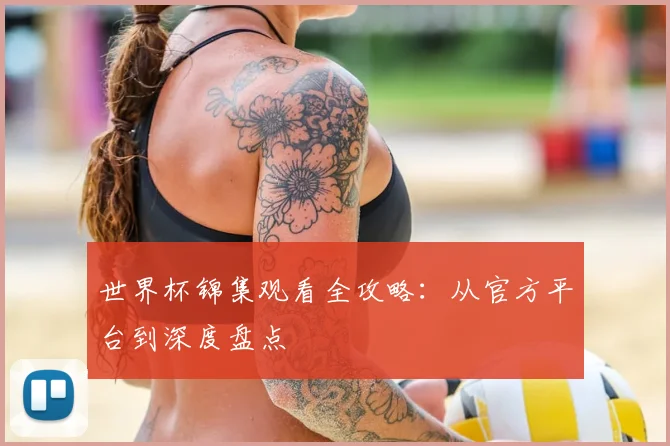 世界杯锦集观看全攻略:从官方平台到深度盘点