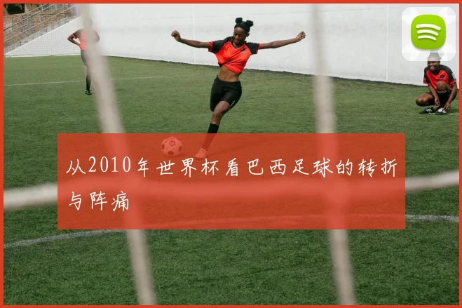 从2010年世界杯看巴西足球的转折与阵痛