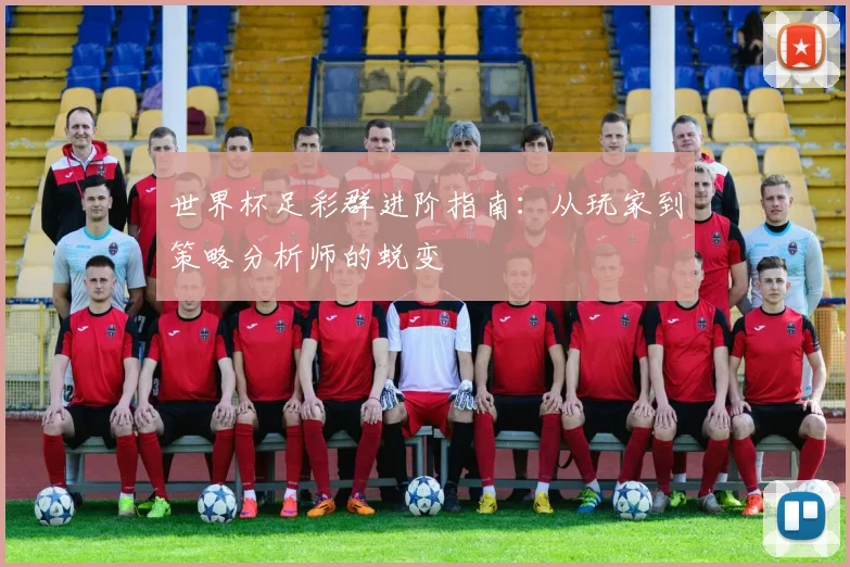 世界杯足彩群进阶指南：从玩家到策略分析师的蜕变