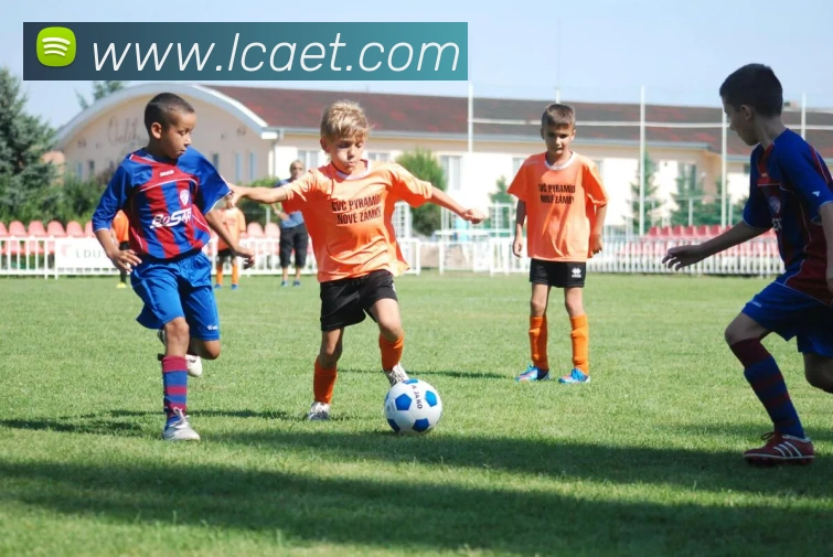 米兰官方网站入口APP 封面图